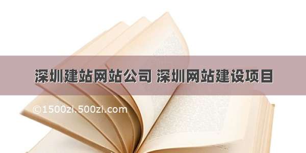 深圳建站网站公司 深圳网站建设项目