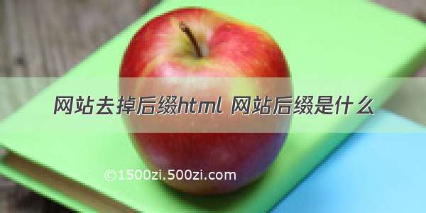 网站去掉后缀html 网站后缀是什么