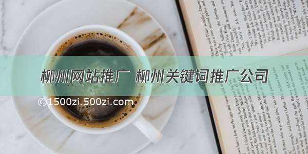 柳州网站推广 柳州关键词推广公司