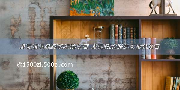 北京知名的网站建设公司 北京网站开发专业的公司
