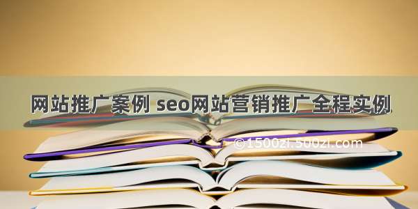网站推广案例 seo网站营销推广全程实例