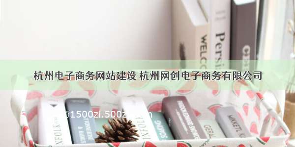 杭州电子商务网站建设 杭州网创电子商务有限公司