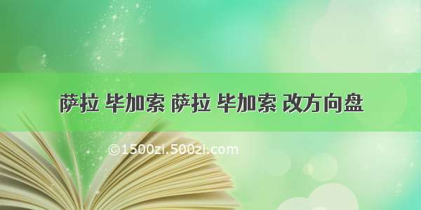 萨拉 毕加索 萨拉 毕加索 改方向盘