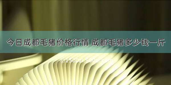 今日成都毛猪价格行情 成都毛猪多少钱一斤