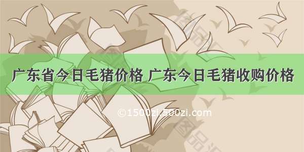 广东省今日毛猪价格 广东今日毛猪收购价格