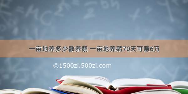 一亩地养多少散养鹅 一亩地养鹅70天可赚6万