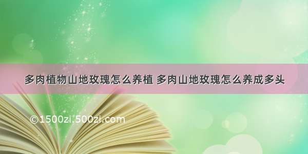 多肉植物山地玫瑰怎么养植 多肉山地玫瑰怎么养成多头