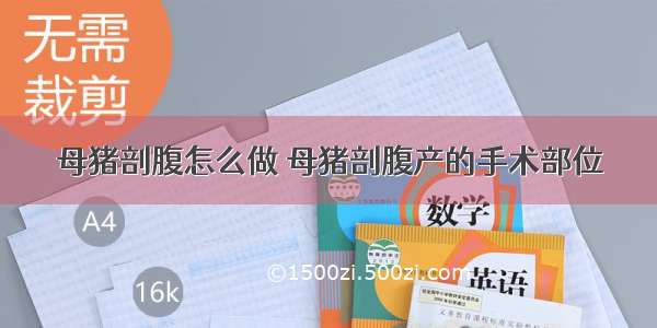 母猪剖腹怎么做 母猪剖腹产的手术部位