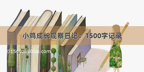 小鸡成长观察日记：1500字记录