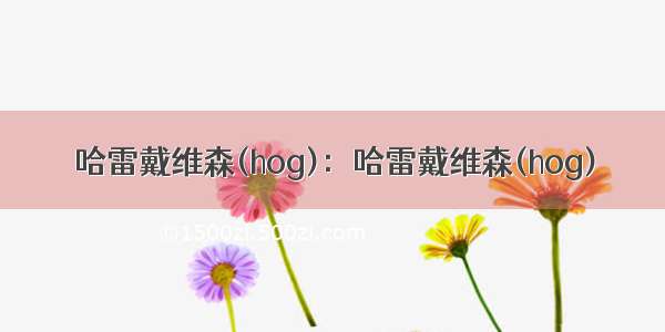 哈雷戴维森(hog)：哈雷戴维森(hog)