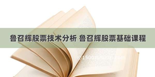 鲁召辉股票技术分析 鲁召辉股票基础课程