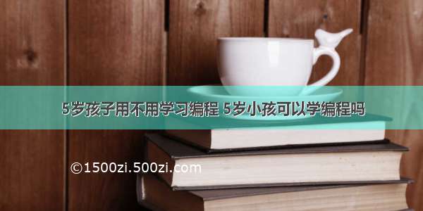 5岁孩子用不用学习编程 5岁小孩可以学编程吗