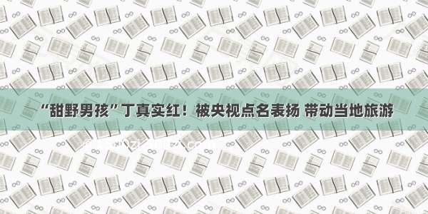 “甜野男孩”丁真实红！被央视点名表扬 带动当地旅游