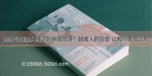 为什么越南人很少到中国旅游？越南人的回答 让我们无言以对