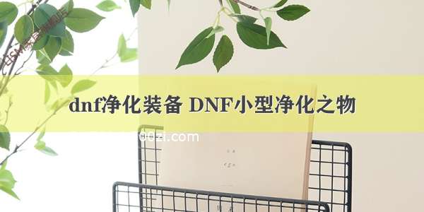 dnf净化装备 DNF小型净化之物