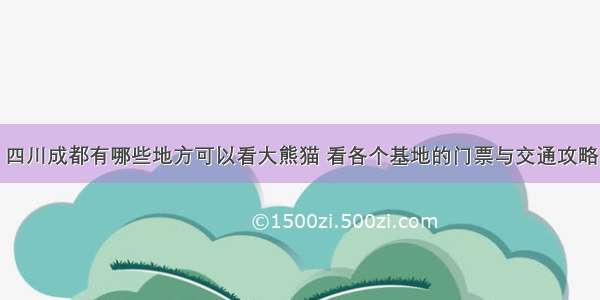 四川成都有哪些地方可以看大熊猫 看各个基地的门票与交通攻略