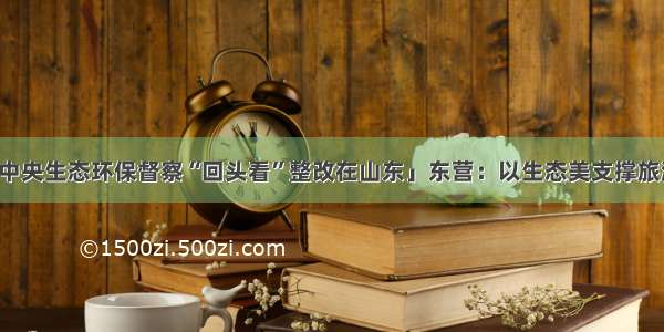 「中央生态环保督察“回头看”整改在山东」东营：以生态美支撑旅游兴