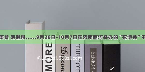 赏鲜花 品美食 泡温泉……9月28日-10月7日在济南商河举办的“花博会”不要错过哦！