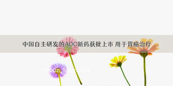 中国自主研发的ADC新药获批上市 用于胃癌治疗