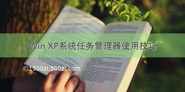 Win XP系统任务管理器使用技巧