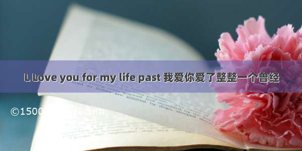 L Love you for my life past 我爱你爱了整整一个曾经