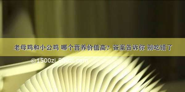 老母鸡和小公鸡 哪个营养价值高？答案告诉你 别吃错了