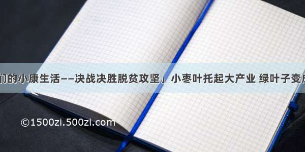 「走向我们的小康生活——决战决胜脱贫攻坚」小枣叶托起大产业 绿叶子变成“金叶子”