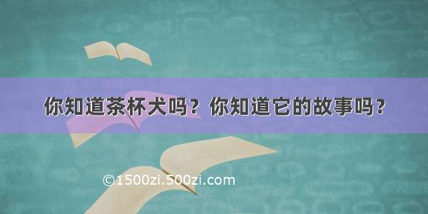 你知道茶杯犬吗？你知道它的故事吗？