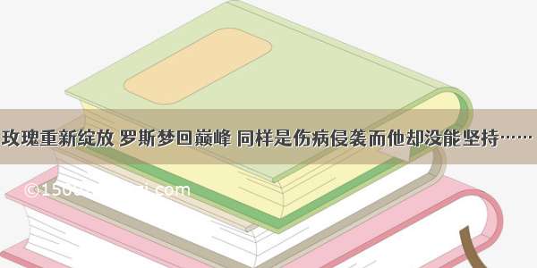 玫瑰重新绽放 罗斯梦回巅峰 同样是伤病侵袭而他却没能坚持……