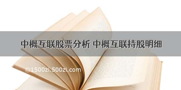 中概互联股票分析 中概互联持股明细