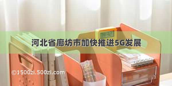 河北省廊坊市加快推进5G发展