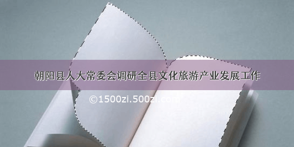 朝阳县人大常委会调研全县文化旅游产业发展工作