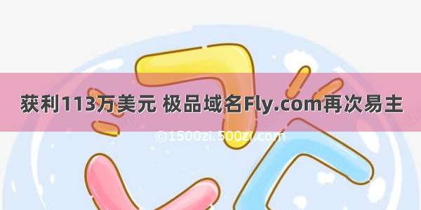 获利113万美元 极品域名Fly.com再次易主