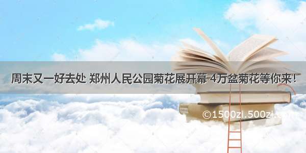 周末又一好去处 郑州人民公园菊花展开幕 4万盆菊花等你来！