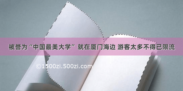 被誉为“中国最美大学” 就在厦门海边 游客太多不得已限流