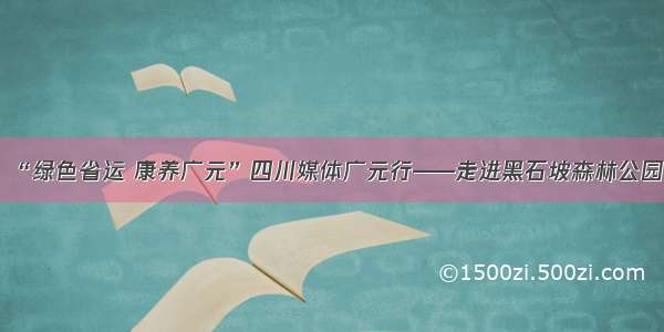 “绿色省运 康养广元”四川媒体广元行——走进黑石坡森林公园