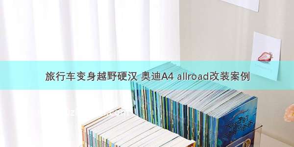 旅行车变身越野硬汉 奥迪A4 allroad改装案例