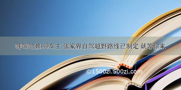 呼叫哈弗H9车主 张家界自驾越野路线已制定 就等你来