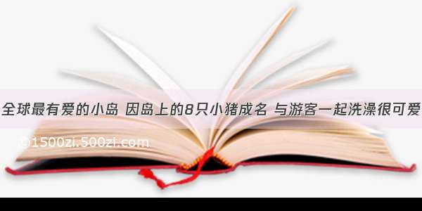 全球最有爱的小岛 因岛上的8只小猪成名 与游客一起洗澡很可爱