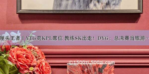 无厘头王者丨YTG卖KPL席位 教练SK出走！DYG：总决赛当旅游……