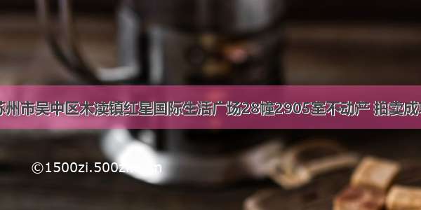 苏州市吴中区木渎镇红星国际生活广场28幢2905室不动产 拍卖成功