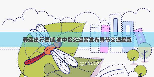 春运出行高峰 渝中区交巡警发布春节交通提醒