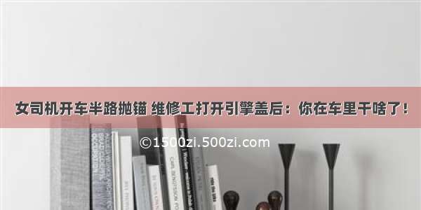 女司机开车半路抛锚 维修工打开引擎盖后：你在车里干啥了！