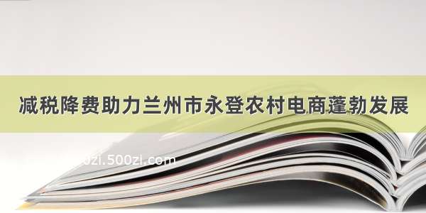 减税降费助力兰州市永登农村电商蓬勃发展