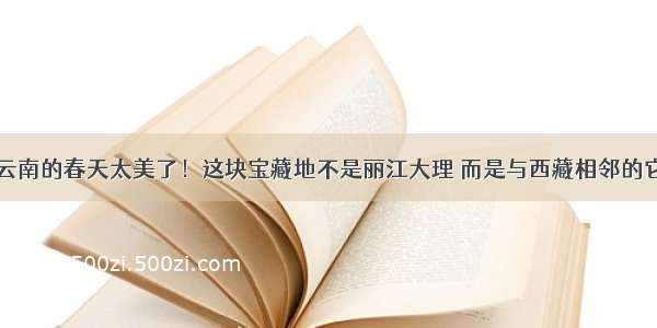 云南的春天太美了！这块宝藏地不是丽江大理 而是与西藏相邻的它