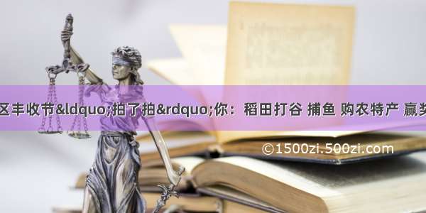 成都市青白江区丰收节“拍了拍”你：稻田打谷 捕鱼 购农特产 赢奖品等精彩活动