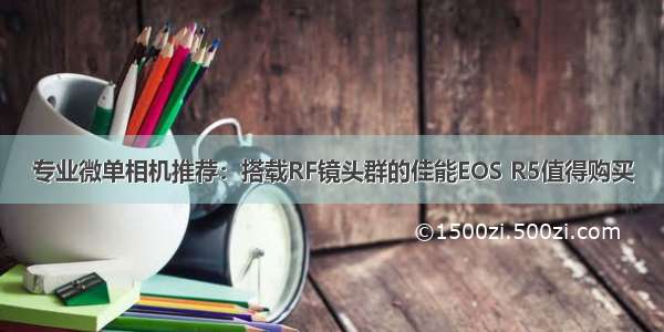 专业微单相机推荐：搭载RF镜头群的佳能EOS R5值得购买