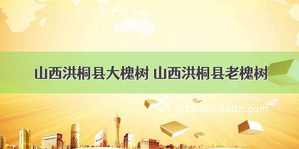 山西洪桐县大槐树 山西洪桐县老槐树