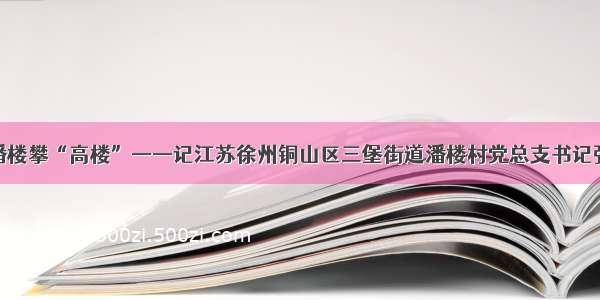 带领潘楼攀“高楼”——记江苏徐州铜山区三堡街道潘楼村党总支书记张衍刚