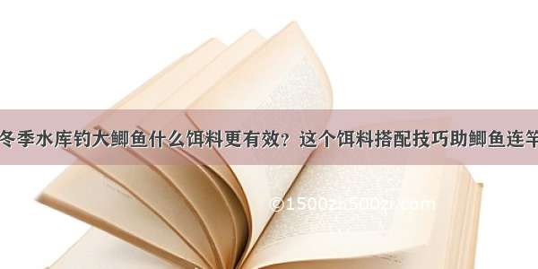 冬季水库钓大鲫鱼什么饵料更有效？这个饵料搭配技巧助鲫鱼连竿